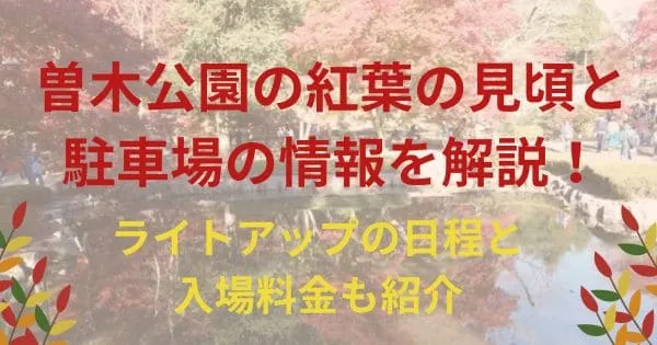 曽木公園の紅葉の見頃と駐車場の情報を解説！